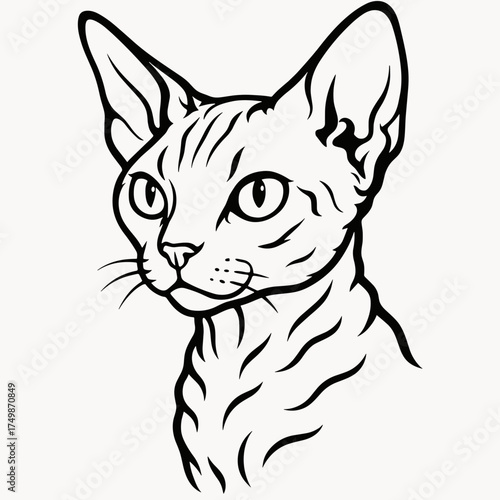 Devon Rex cat illustration in a realistic style, black and white lines, copy space