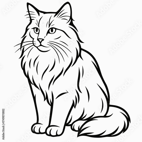 Norwegian forest cat illustration in a realistic style, black and white lines, copy space