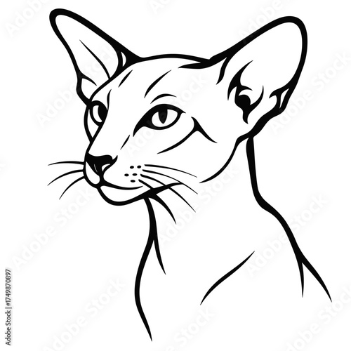 Oriental shorthair cat illustration in a realistic style, black and white lines