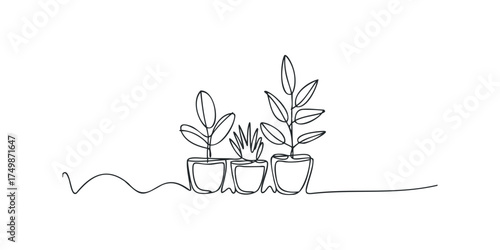 Continuous line drawing of potted plants
