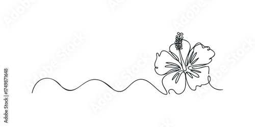 Continuous line drawing of a hibiscus flower with wavy line accent