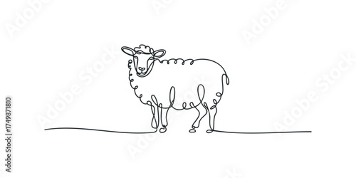 Single line drawing of a sheep on white background