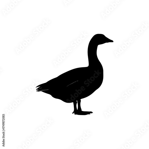 A simple black silhouette of a goose standing on a white background.