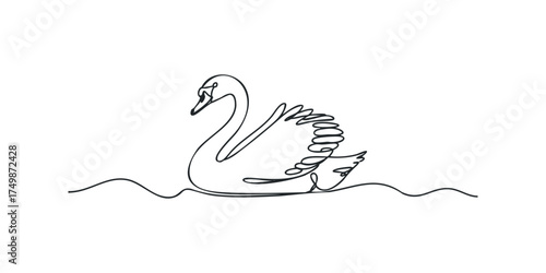 Single line drawing of a swan floating on water
