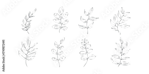 Collection of eight simple line art plant stems