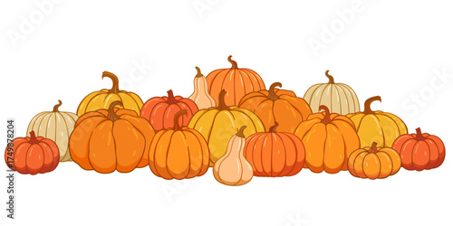 Pumpkin patch vector set. Bunch of autumn pumpkins. Hand drawn pumpkin squash frame, border in different colors and shapes.