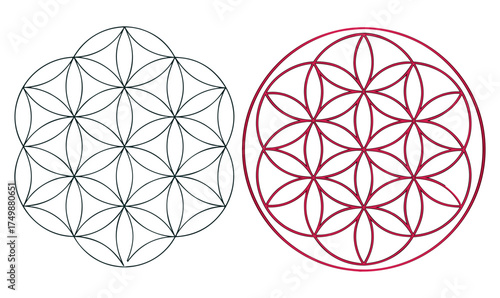 Sacred Geometry Mandala Illustrations –Linework and Circular Pattern Art