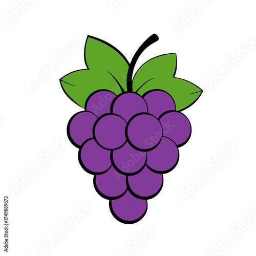 Grapes Silhouette on White Background