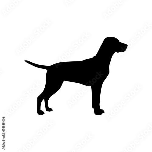 Vizsla dog silhouette vector flat illustration design.