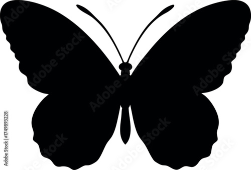 Butterfly vector illustration silhouette isolated on white background