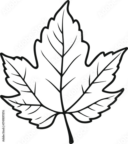 leaf silhouette vector illustration