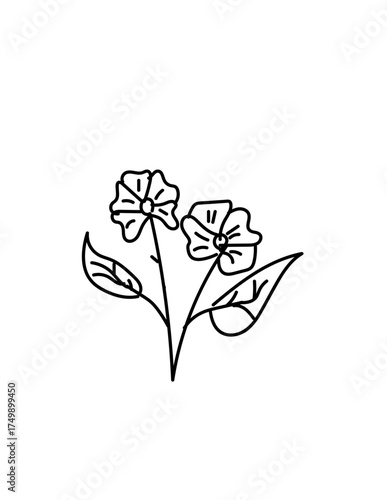 flower for the kids and adults to lift up their mood
