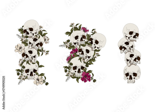 Skull head with flowers of illustration. Skull illustration set