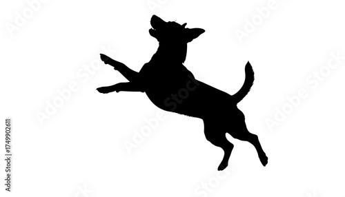 A black silhouette of a dog jumping and looking upward on a white background. The dog's legs are outstretched, and tail curved