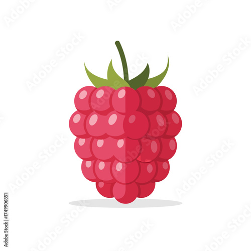 Vibrant red raspberry fruit vector illustration with green stem.