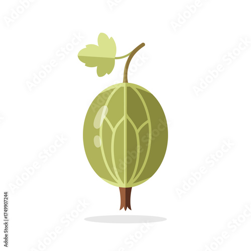 Single Fresh Green Gooseberry Fruit with Stem and Leaf Isolated on White Background.