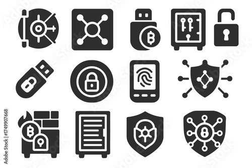 Biometric vault locker drive crypto seed vector lock storage icon coin cryptographic