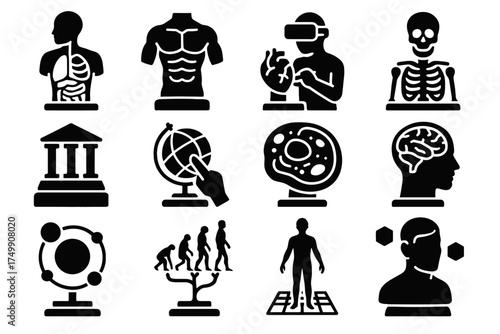 Educational bust icon earth human model virtual vector muscle evolution icons skeleton