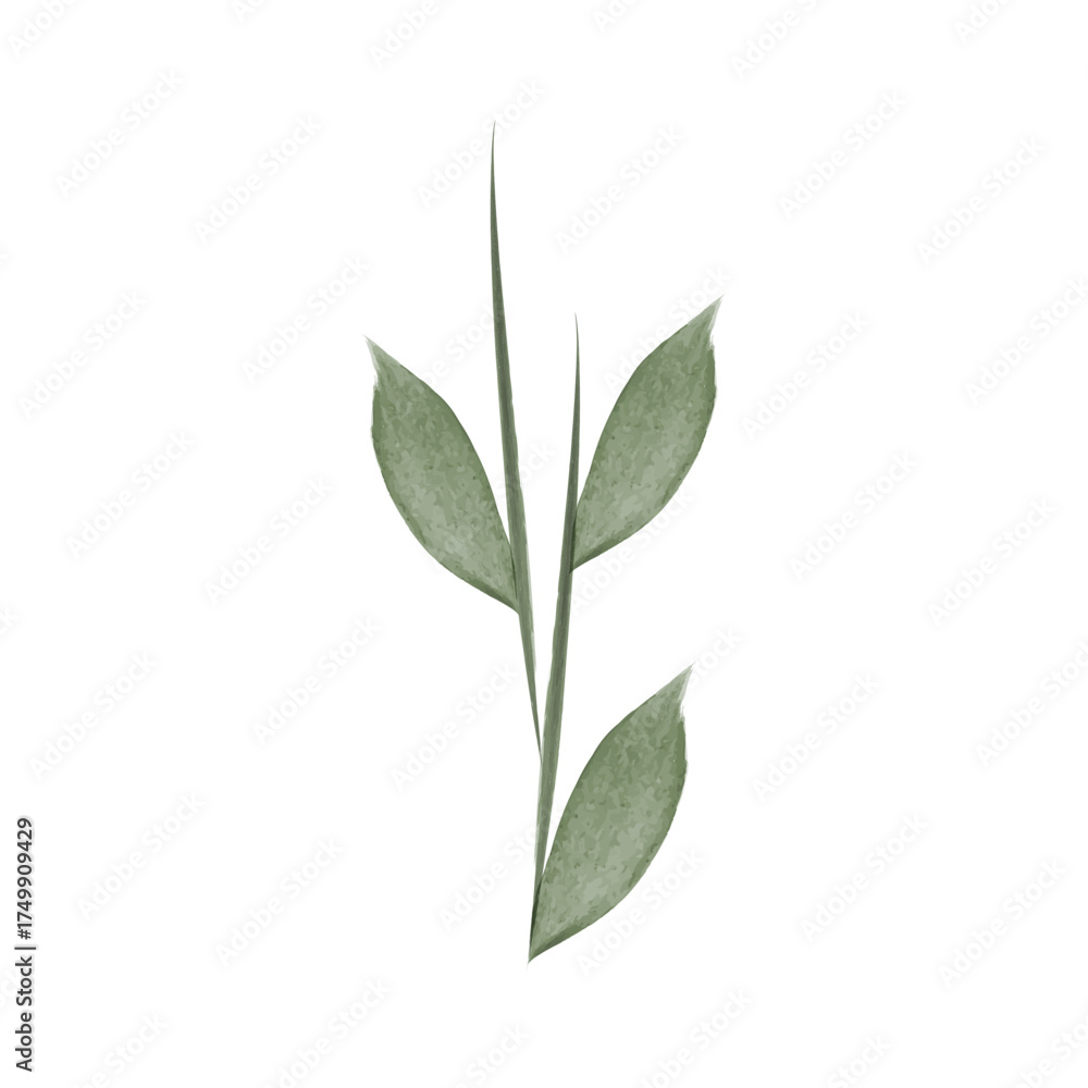 Fototapeta premium A digital illustration of a single flower stem. It features watercolor style green leaves arranged along a central stem. It has a simple, natural appearance.