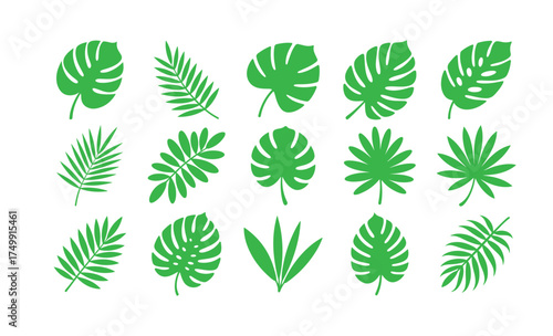 Collection of green tropical leaves isolated on for nature decor and design