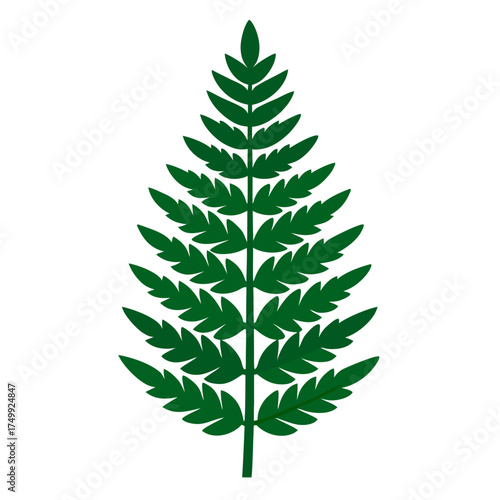 green leaf isolated on white background