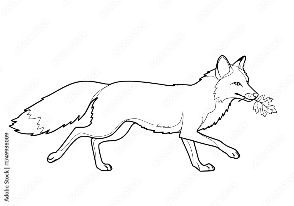 Fototapeta premium Elegant fox carrying leaves, a charming woodland creature in black and white, perfect for nature themes, children's illustrations and storybooks