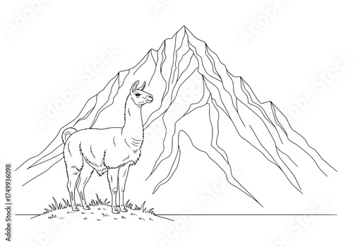 Majestic llama standing proudly before towering Andean mountain peak, evoking serenity and adventure perfect for travel blogs and nature guides