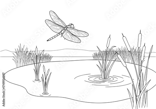 Graceful dragonfly soars above serene pond, cattails sway gently in the breeze, creating a peaceful nature scene, originally a scalable vector graphic
