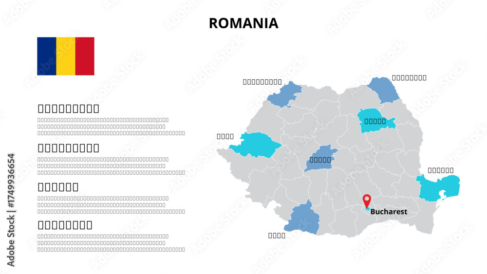 Fototapeta Business Infographic Set — Success Finance and Data Visualization Concept