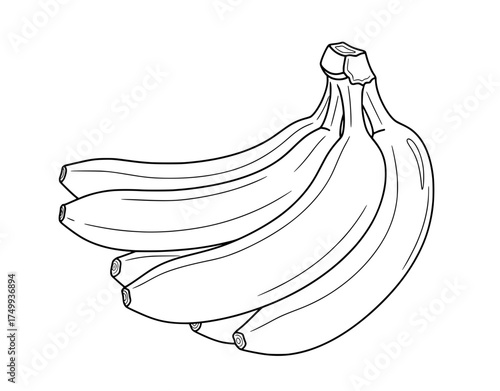 Fresh bananas sketched, ready to color, a healthy snack, perfect for back to school, vibrant and appealing for educational materials and culinary projects