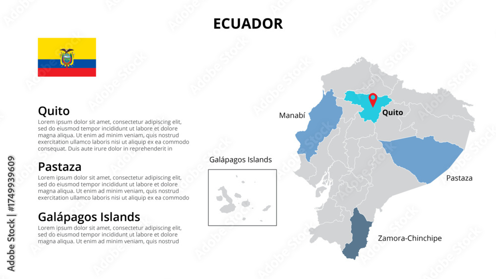 Fototapeta premium Business Infographic Set — Success Finance and Data Visualization Concept