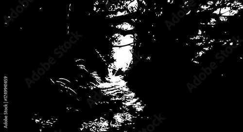 Abstract Black and White Image of a Tree Trunk with Textured Bark and Foliage.