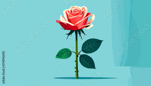 Red rose bloom with transparent background