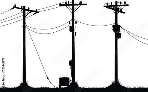 Silhouette of utility poles with transformers, insulators, crossarms, grassy base, perched birds, electricity dis