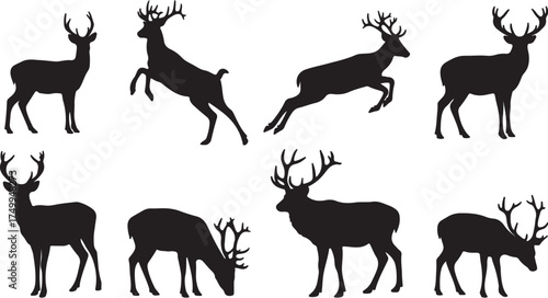 Deer and Stag Silhouette Vector: Black Forest, Hunter, and Wildlife Animal Shapes.