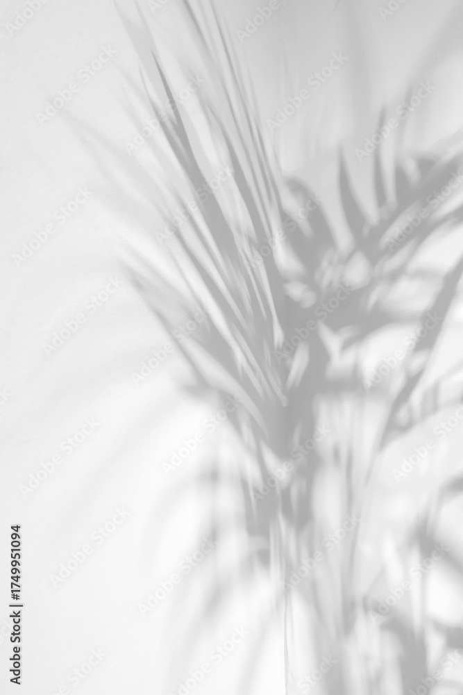 Obraz premium The background consists of elongated and intricate shadows of palm leaves cast on a smooth white wall.