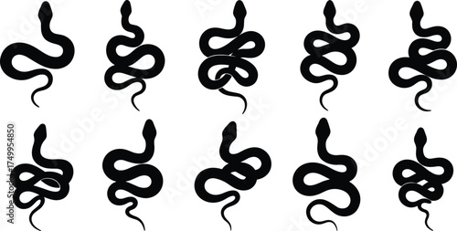 Snake silhouette vector set showing coiled and slithering reptiles in minimal black style, perfect for tattoo design, wildlife art, and nature illustration