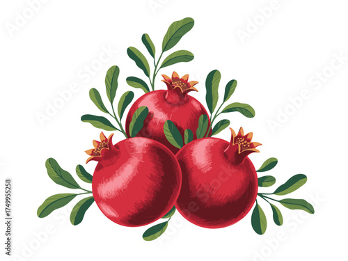 Three bright red pomegranates with green leaves on a white background fruit