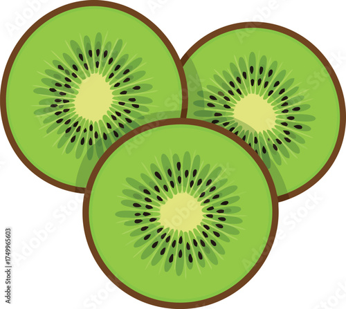 Fresh ripe kiwi slices healthy tropical fruit vector
