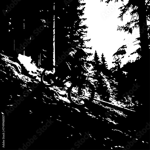 Silhouette of Mountain Biker Descending Forest Trail with Trees and Shadows.