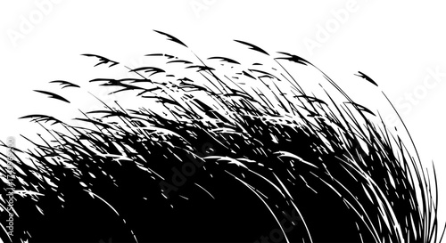 Silhouette of Wind-Swept Grass Blades, Black and White, Artistic Illustration.