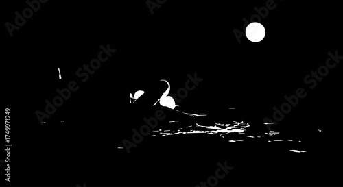 Silhouetted Swan Swimming Gracefully on Water Under a Full Moon at Night.