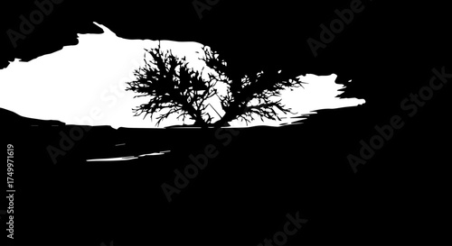 Silhouetted Tree with Delicate Branches Against a Bright White Background.