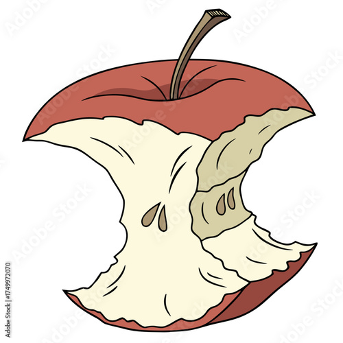 Apple core with seeds and stem