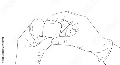Sketch of Two Hands Holding a Small, Rounded, Textured Object.