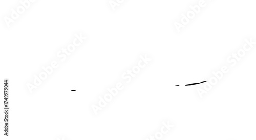 Small, Black, Curved Line Segment Appearing on White Background.
