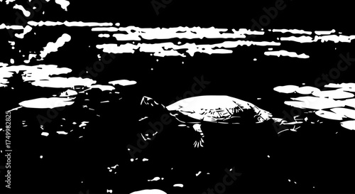 Swimming Turtle with Textured Shell in a Pond, Black and White Silhouette.