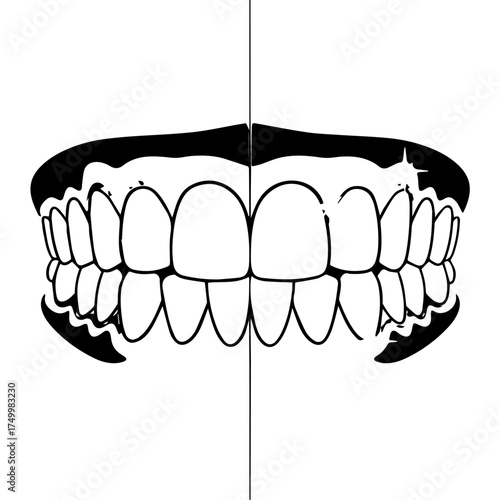 Symmetrical Black and White Illustration of Human Teeth and Gums.