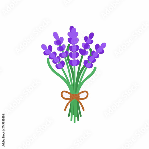 Bunch of lavender flowers with bow on white background, ideal for creating a serene atmosphere, brings relaxation. Bunch of lavender flowers are tied together, perfect for aromatherapy, cosmetics,