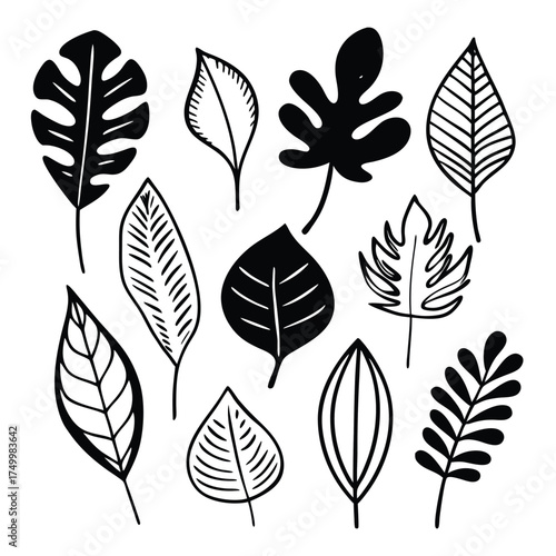 Collection of 30 hand drawn botanical sketch leaves and elements